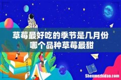 草莓最好吃的季节是几月份 哪个品种草莓最甜