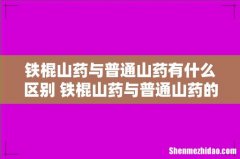 铁棍山药与普通山药有什么区别 铁棍山药与普通山药的功效一样吗