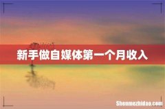 新手做自媒体第一个月收入