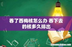 吞了西梅核怎么办 吞下去的核多久排出