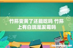 竹荪变黄了还能吃吗 竹荪上有白斑是发霉吗