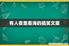 有人夜里看海的搞笑文案