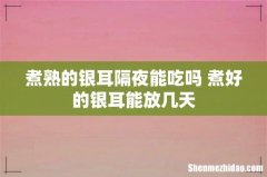 煮熟的银耳隔夜能吃吗 煮好的银耳能放几天