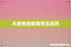 木吉他拾音条有正反吗