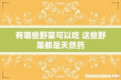 有哪些野菜可以吃 这些野菜都是天然药