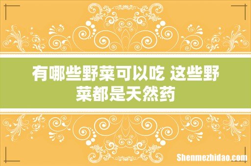 有哪些野菜可以吃 这些野菜都是天然药
