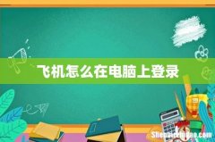 飞机怎么在电脑上登录