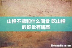山楂不能和什么同食 吃山楂的好处有哪些