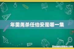 年羹尧杀任伯安是哪一集