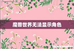 魔兽世界无法显示角色