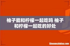 柚子能和柠檬一起吃吗 柚子和柠檬一起吃的好处