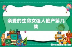 亲爱的生命女强人催产第几集