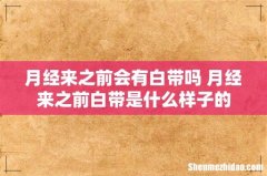 月经来之前会有白带吗 月经来之前白带是什么样子的