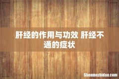 肝经的作用与功效 肝经不通的症状