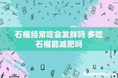 石榴经常吃会发胖吗 多吃石榴能减肥吗