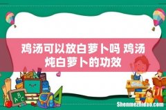 鸡汤可以放白萝卜吗 鸡汤炖白萝卜的功效