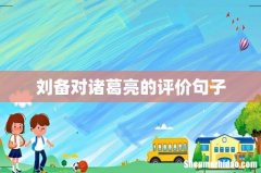 刘备对诸葛亮的评价句子
