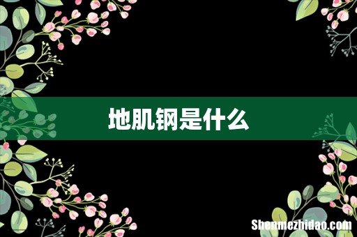 地肌钢是什么