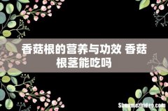 香菇根的营养与功效 香菇根茎能吃吗