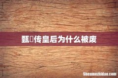 甄嬛传皇后为什么被废