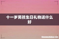 十一岁男孩生日礼物送什么好