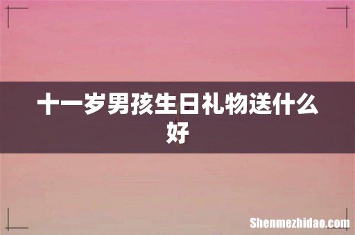 十一岁男孩生日礼物送什么好