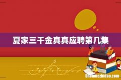 夏家三千金真真应聘第几集