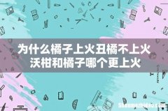 为什么橘子上火丑橘不上火 沃柑和橘子哪个更上火