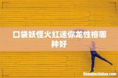 口袋妖怪火红迷你龙性格哪种好