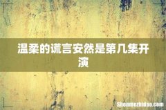 温柔的谎言安然是第几集开演