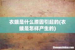 衣蛾是怎样产生的 衣蛾是什么原因引起的