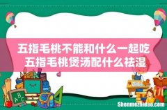 五指毛桃不能和什么一起吃 五指毛桃煲汤配什么祛湿化痰
