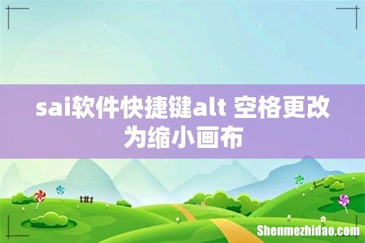 sai软件快捷键alt+空格更改为缩小画布