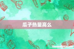 瓜子热量高么