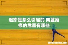 湿疹是怎么引起的 阴茎疱疹的危害有哪些