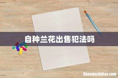 自种兰花出售犯法吗