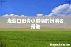 走西口田青小时候的扮演者是谁