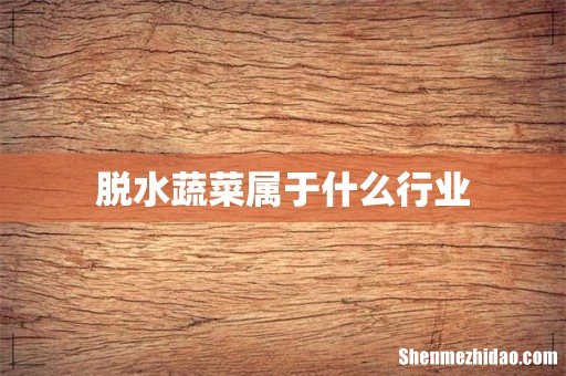 脱水蔬菜属于什么行业