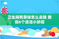 卫生间有异味怎么去除 教你6个清洁小妙招