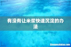 有没有让米浆快速沉淀的办法
