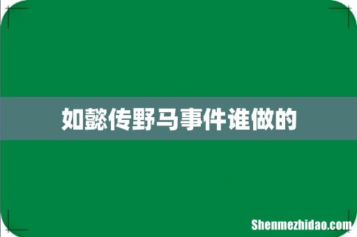 如懿传野马事件谁做的