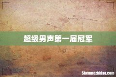 超级男声第一届冠军