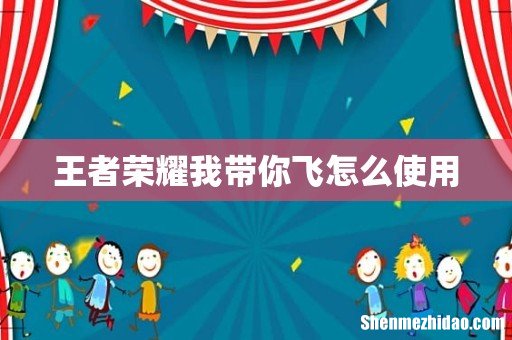 王者荣耀我带你飞怎么使用