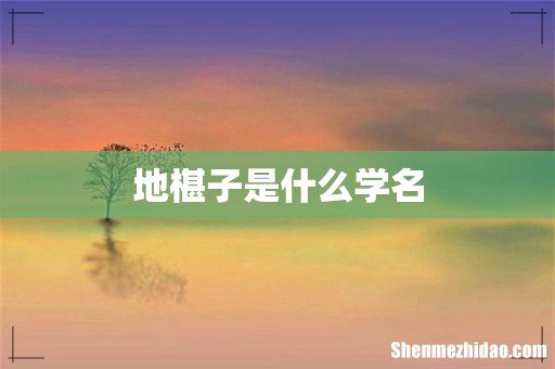 地椹子是什么学名