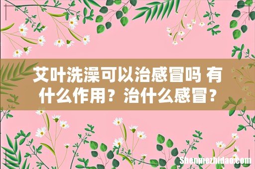 艾叶洗澡可以治感冒吗 有什么作用?治什么感冒?
