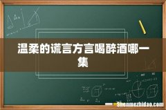 温柔的谎言方言喝醉酒哪一集