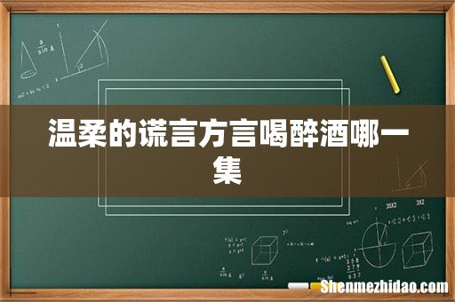 温柔的谎言方言喝醉酒哪一集