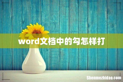 word文档中的勾怎样打