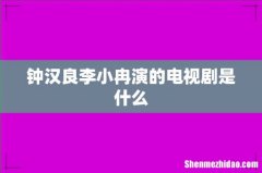 钟汉良李小冉演的电视剧是什么