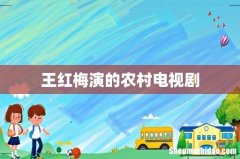 王红梅演的农村电视剧